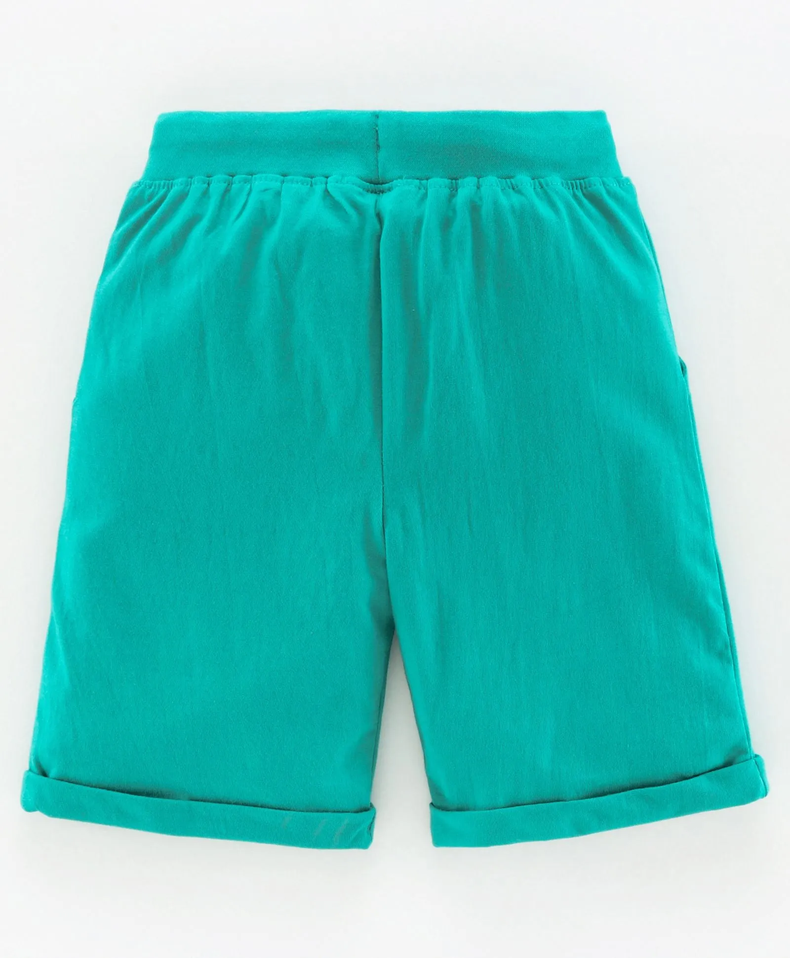 Boys Pull on Shorts with roll up hem & applique