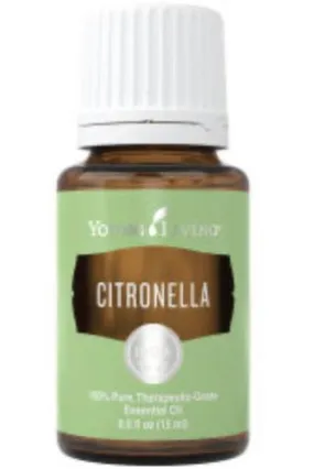 Citronella